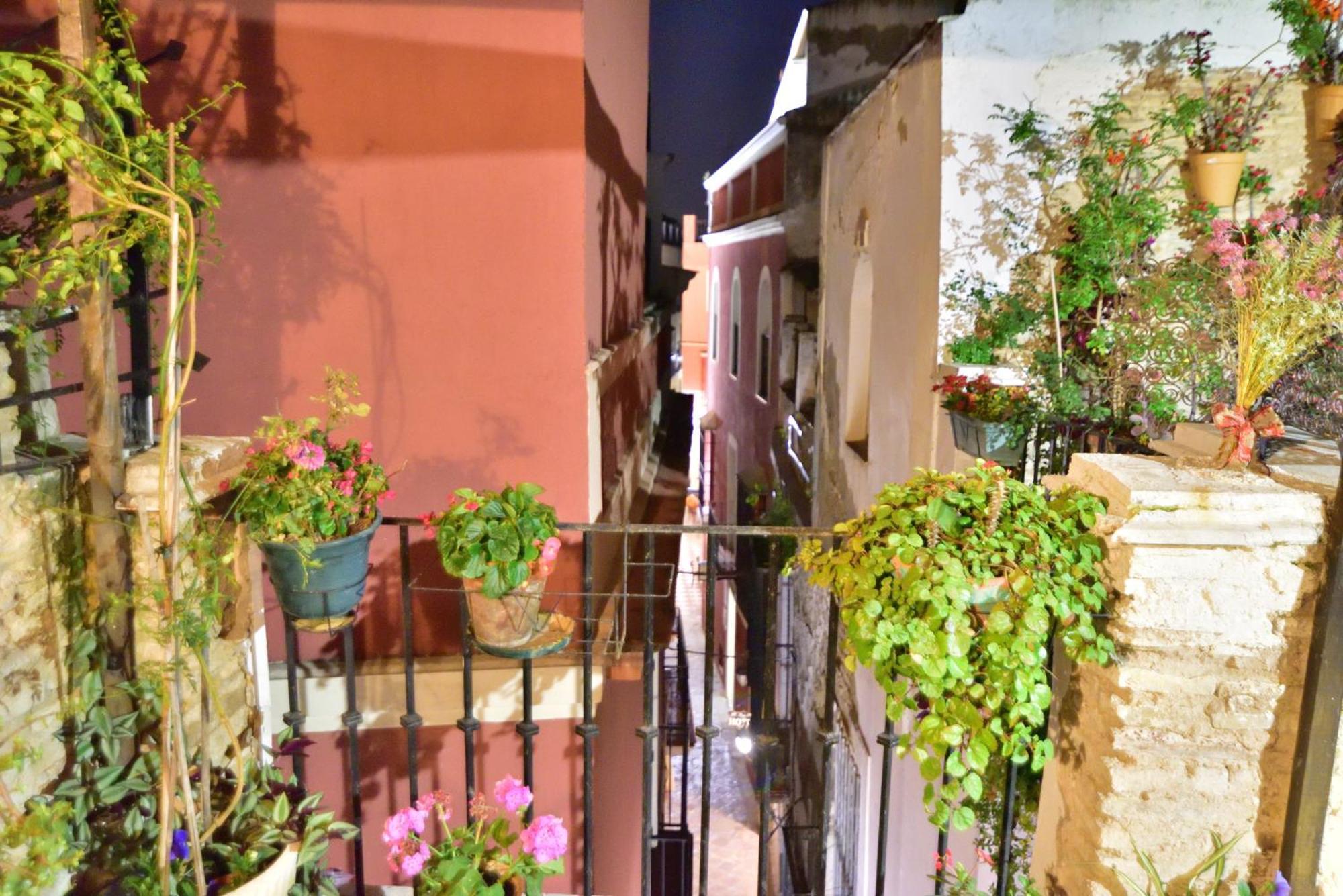 Casa Tenorio Barrio De Santa Cruz Севилья Экстерьер фото